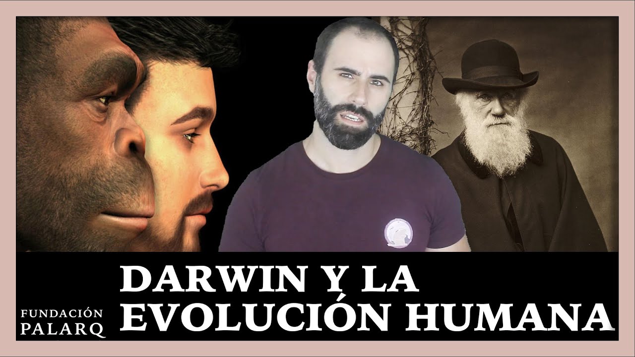 Conclusión sobre el origen de las especies