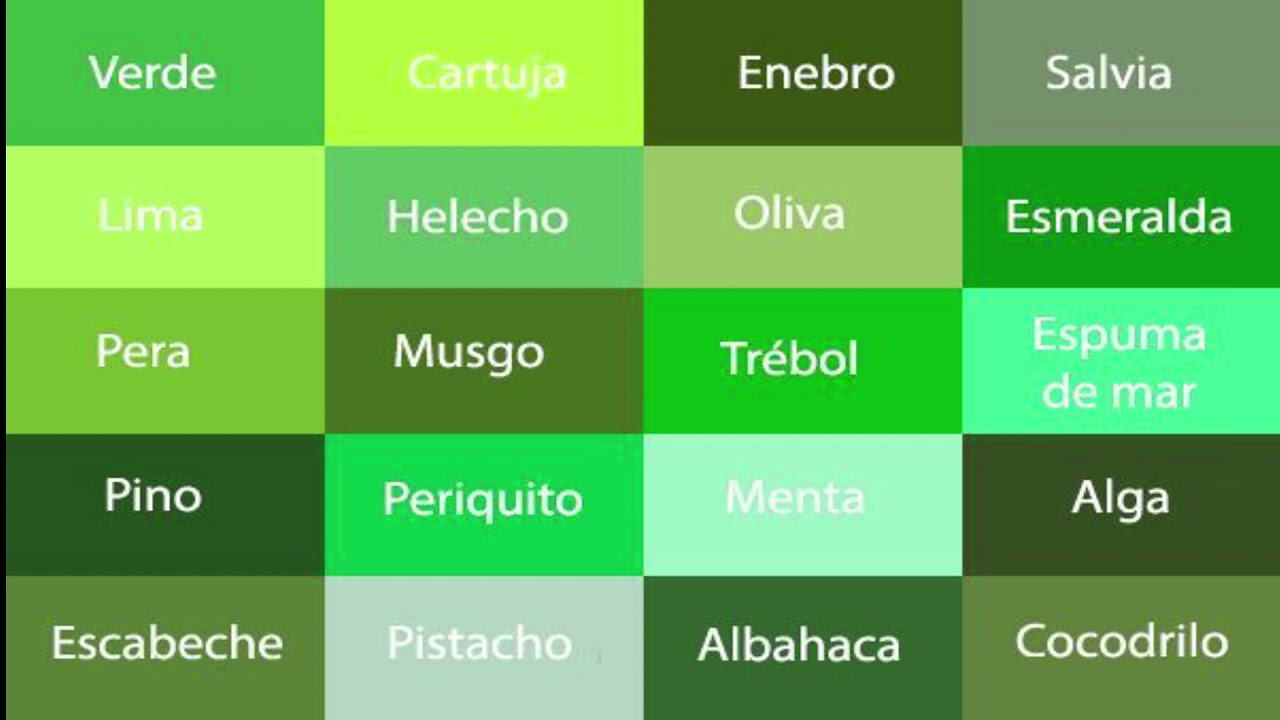 Conoce los tipos de verde y sus variedades
