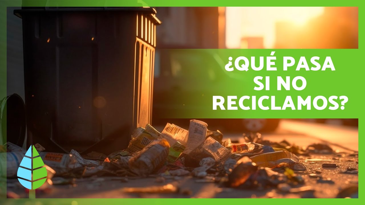 Consecuencias de no reciclar