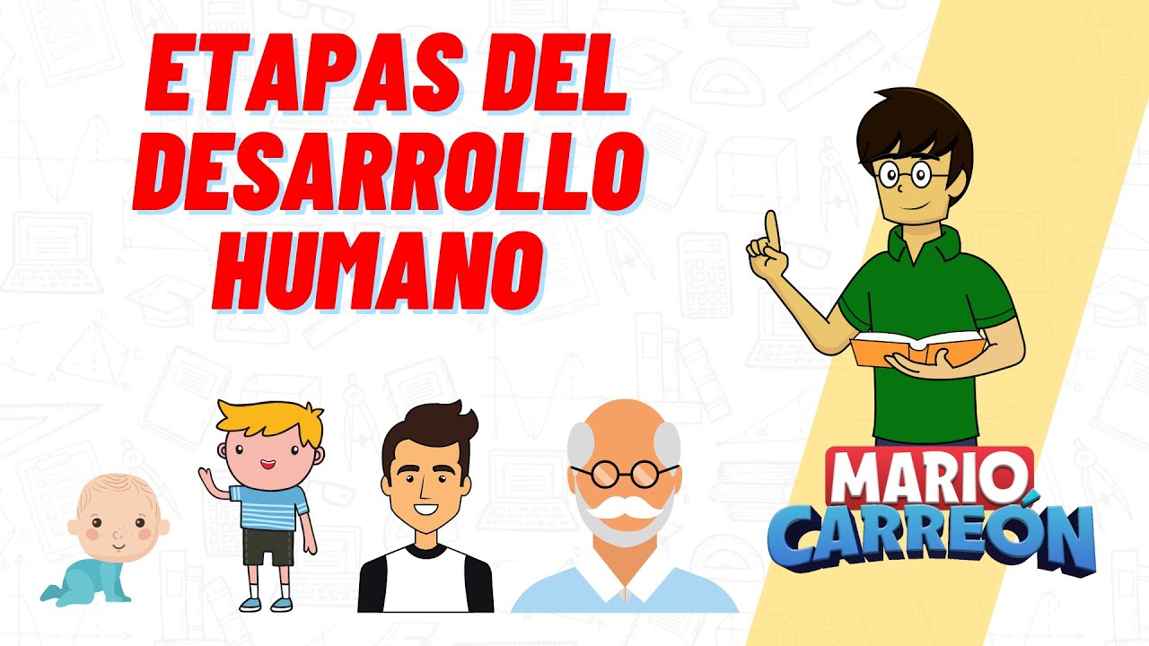 Crecimiento y desarrollo del niño: Etapas fundamentales