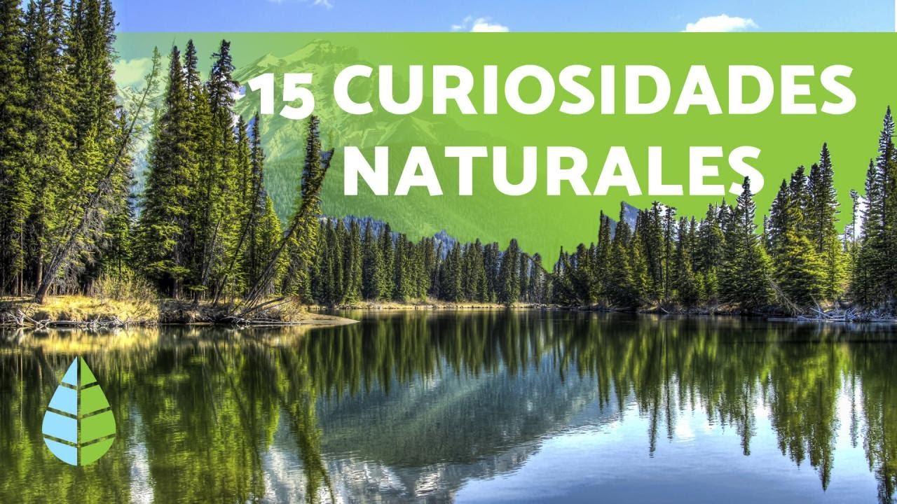 Curiosidades ambientales que te sorprenderán