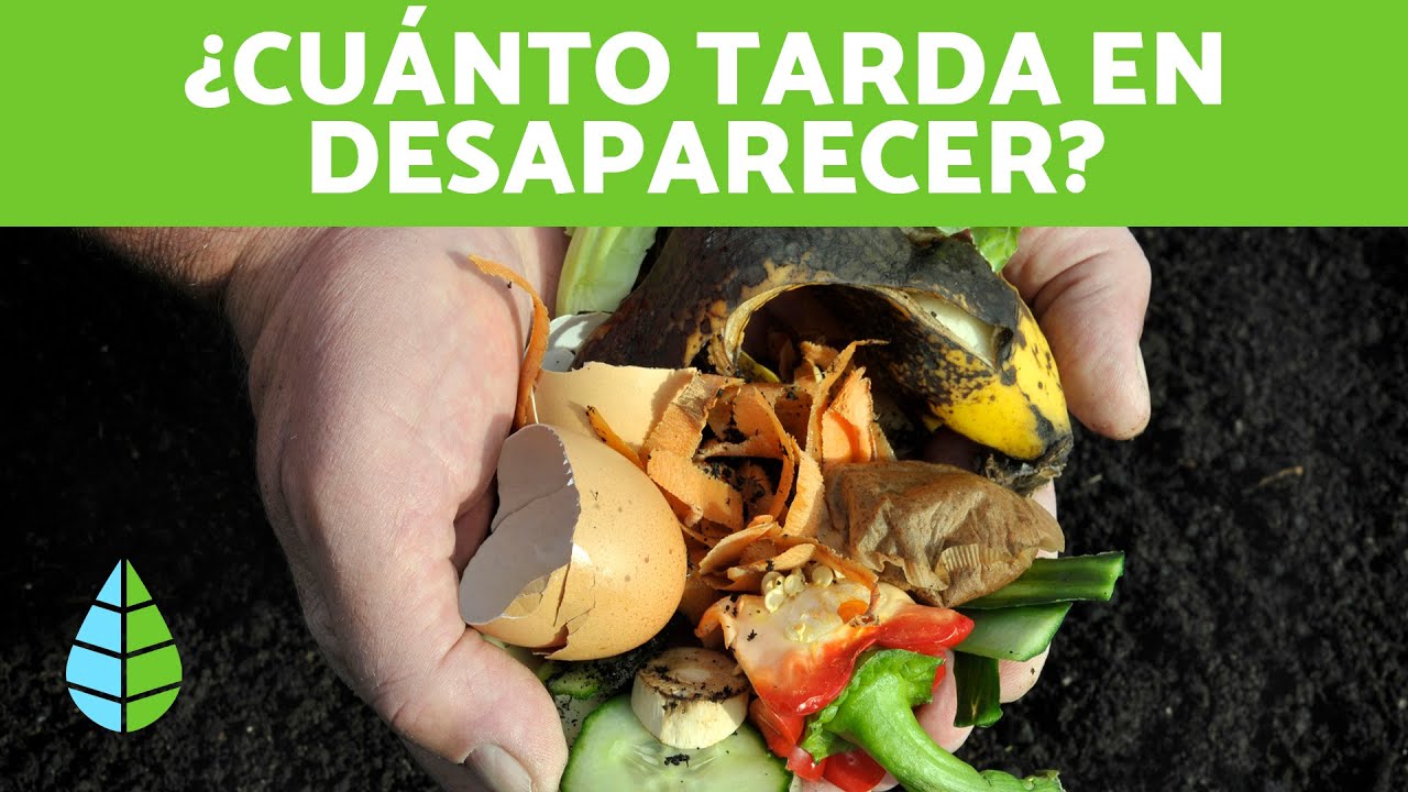 Degradación de un popote de plástico en el ambiente