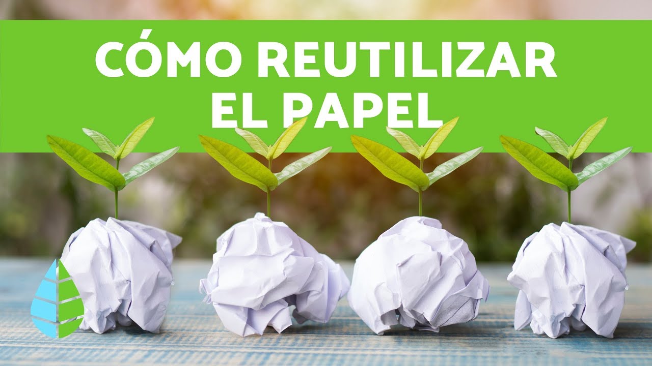 Degradación del papel: ¿Cuánto tiempo tarda?