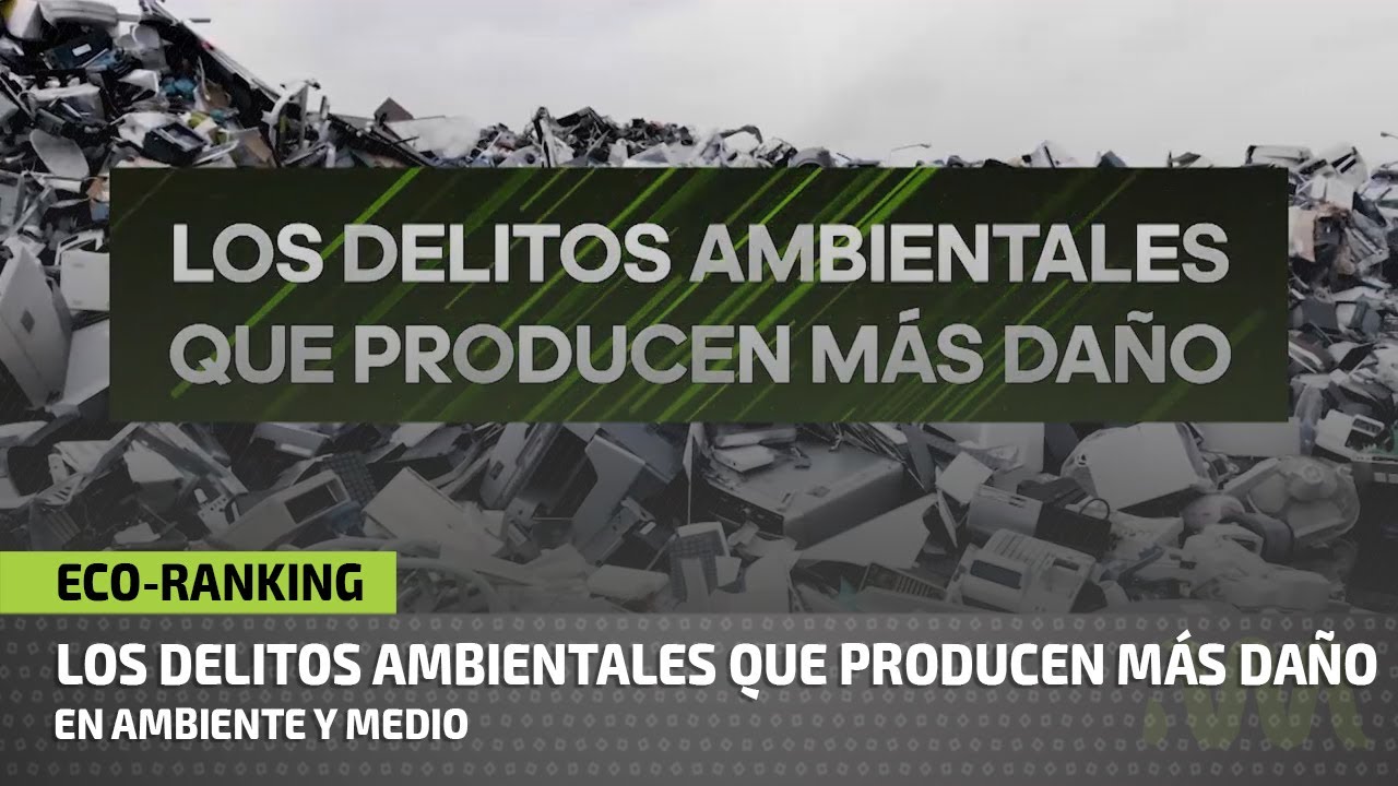Delitos ambientales y biodiversidad