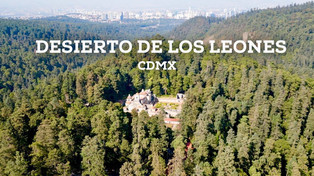 Descubre el Desierto de los Leones un santuario natural
