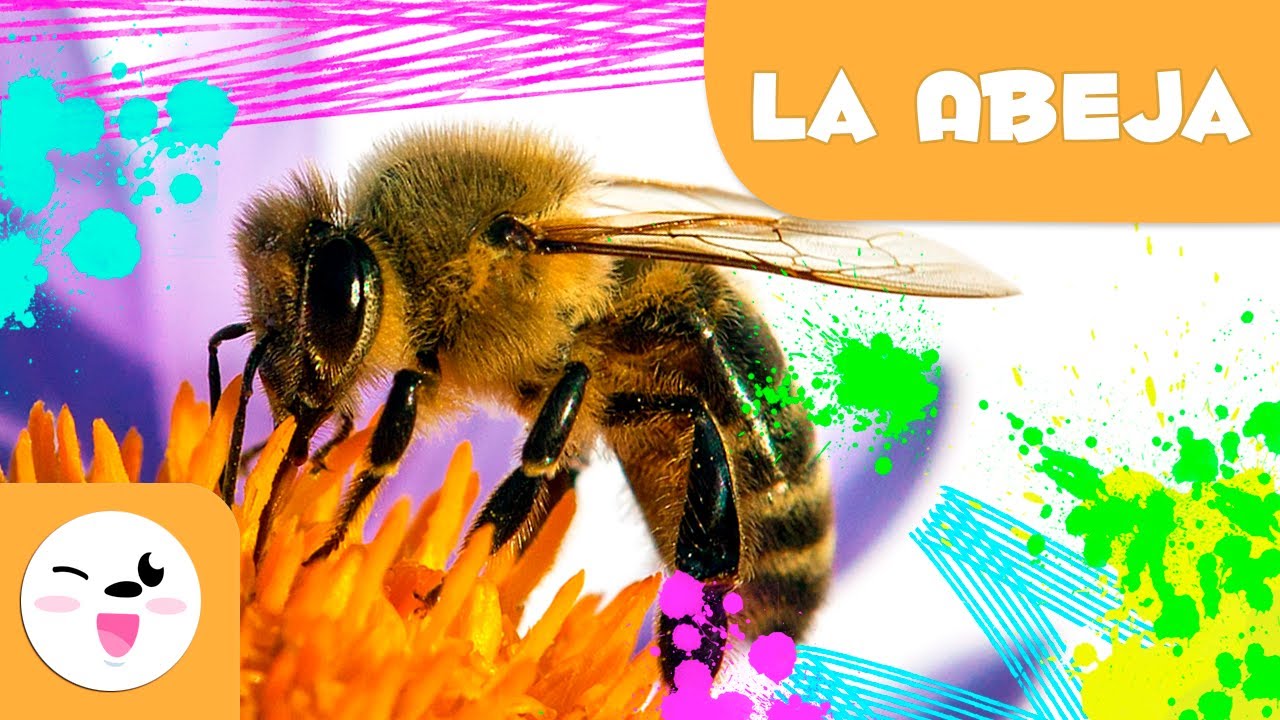 Descubre el apasionante mundo de las abejas en preescolar