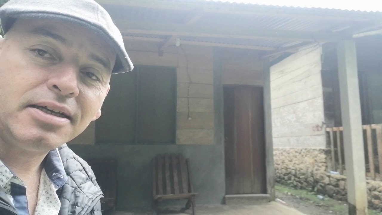 Descubre las cabañas en la selva Lacandona