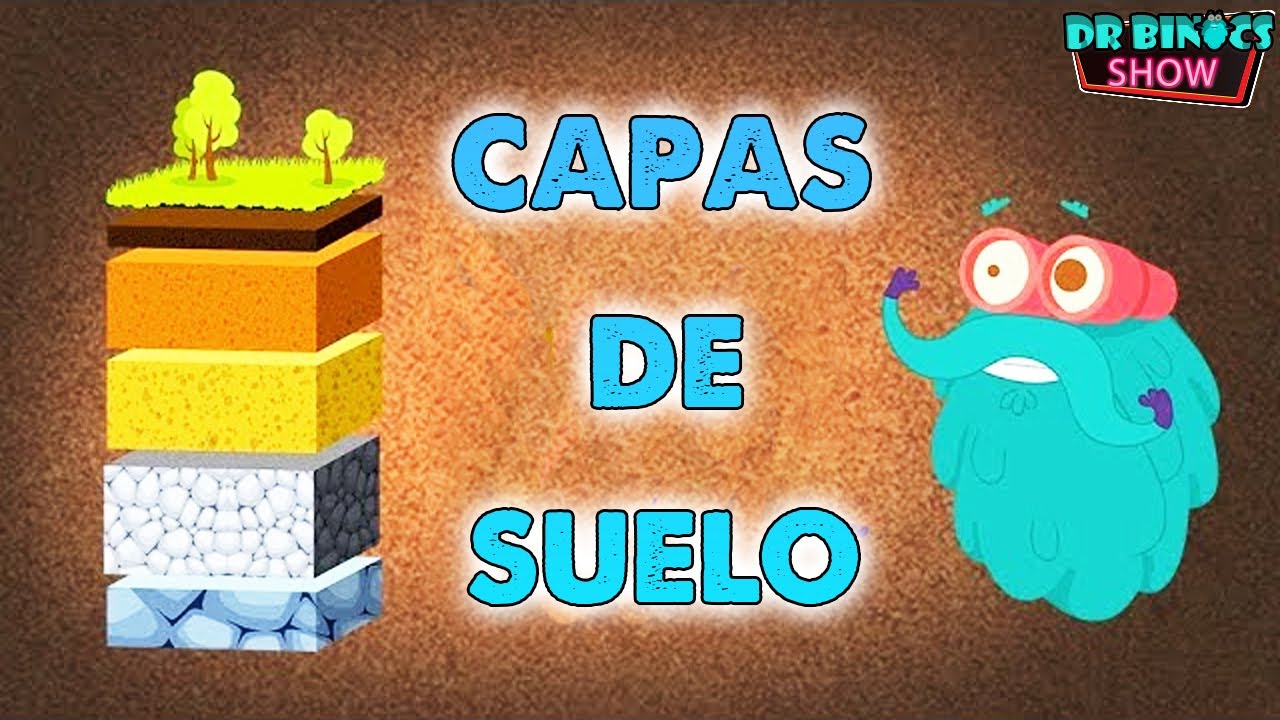 Descubre los diversos perfiles del suelo en la naturaleza