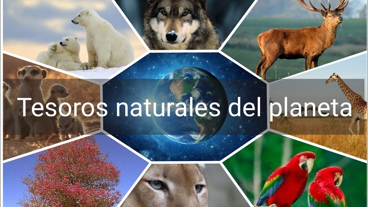 Descubre los tesoros naturales del planeta