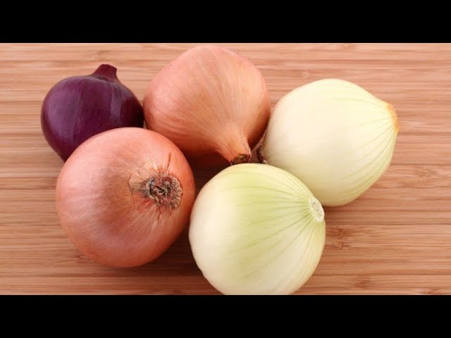 Descubriendo el origen de la cebolla