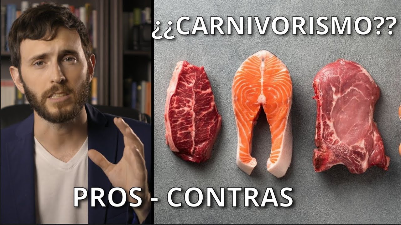 Dieta de la tortuga: ¿carnívora herbívora u omnívora?