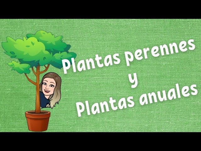 Diferencia entre plantas anuales y perennes