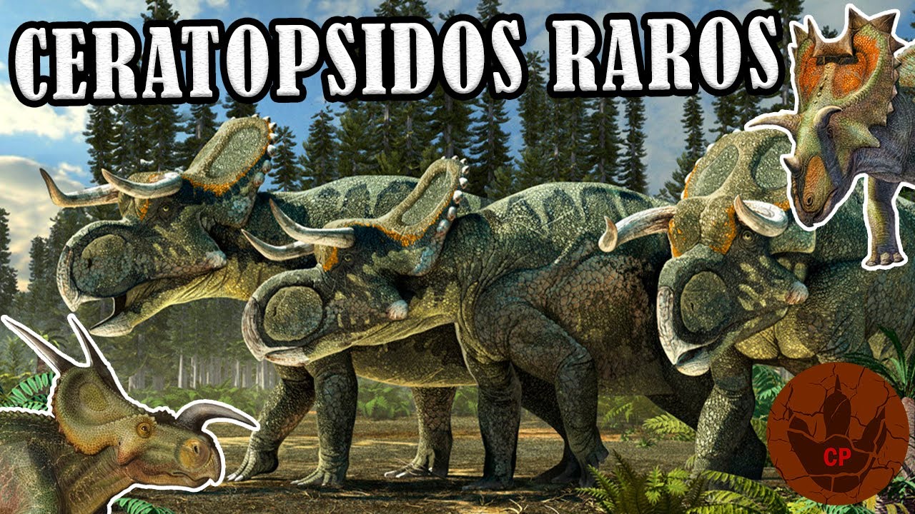 Dinosaurios con cuernos: curiosidades prehistóricas