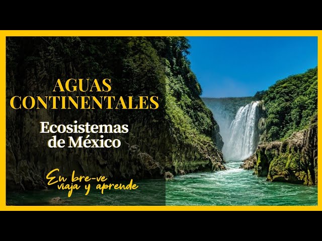 Distribución de aguas continentales en México y el mundo