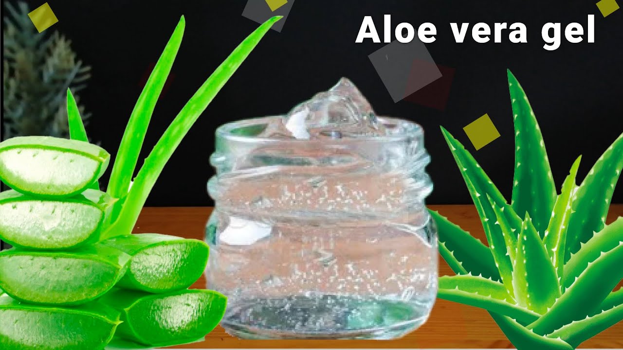 Dónde encontrar gel de aloe vera