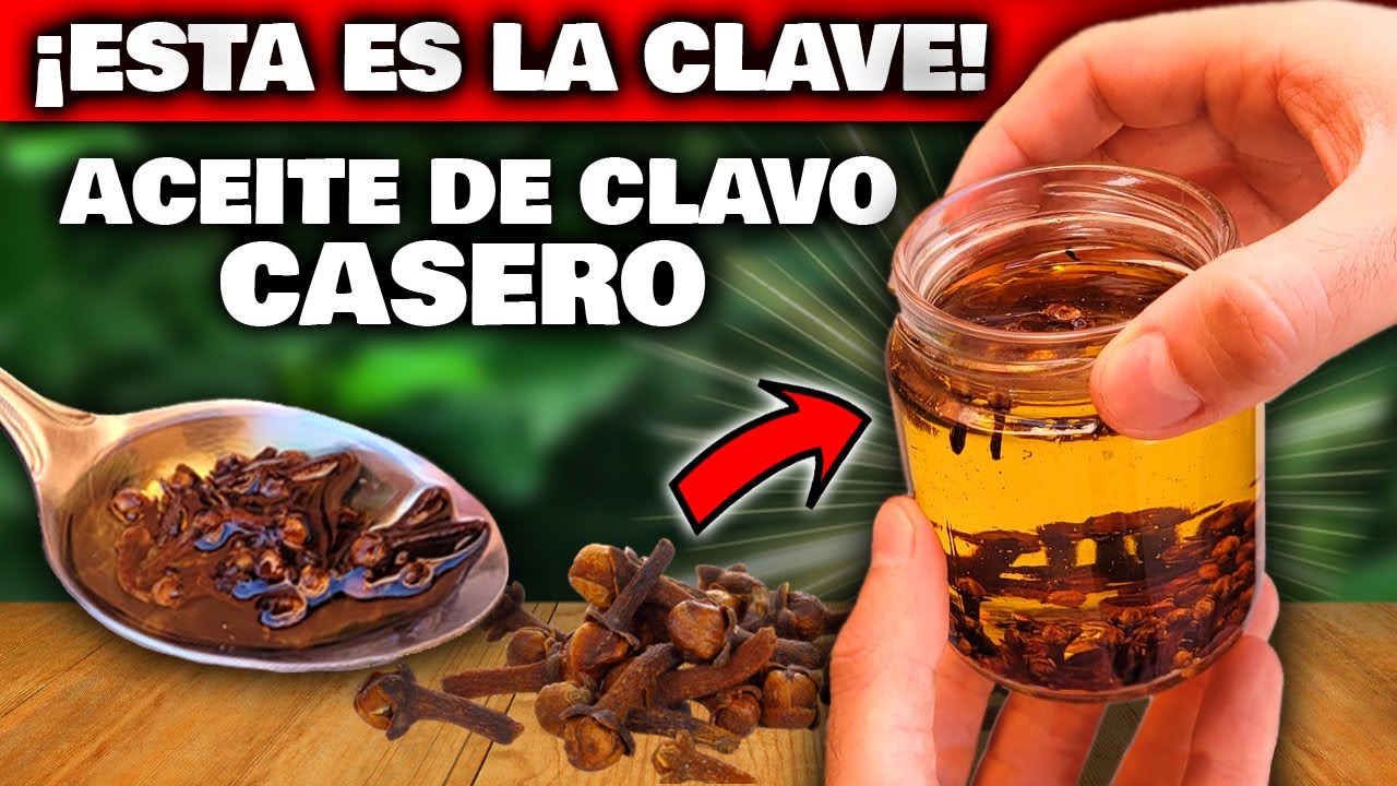 El arte de elaborar aceite de clavo de olor
