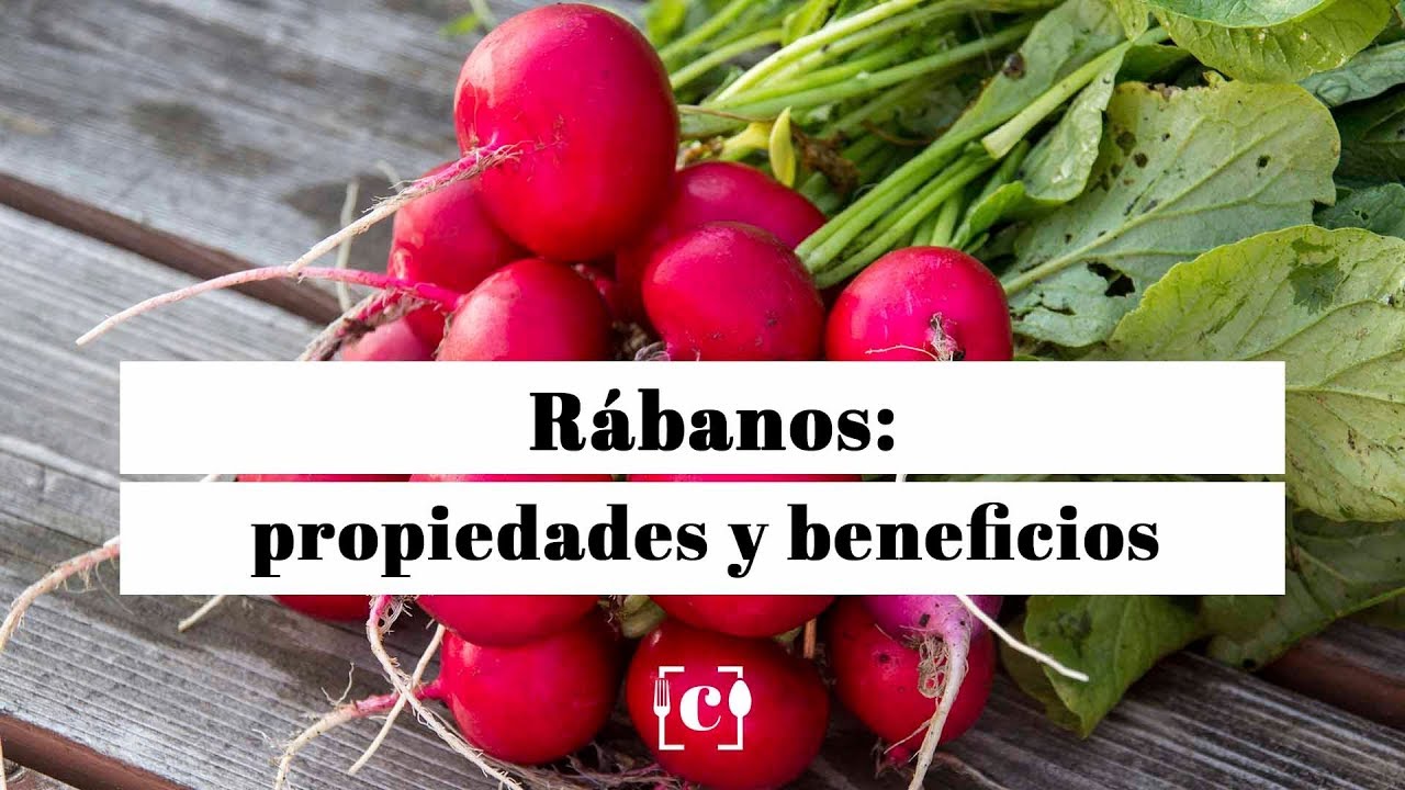 El rábano: ¿fruta o verdura?