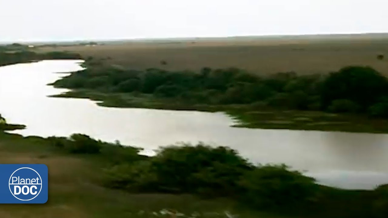 El río Ob: un tesoro natural en Asia