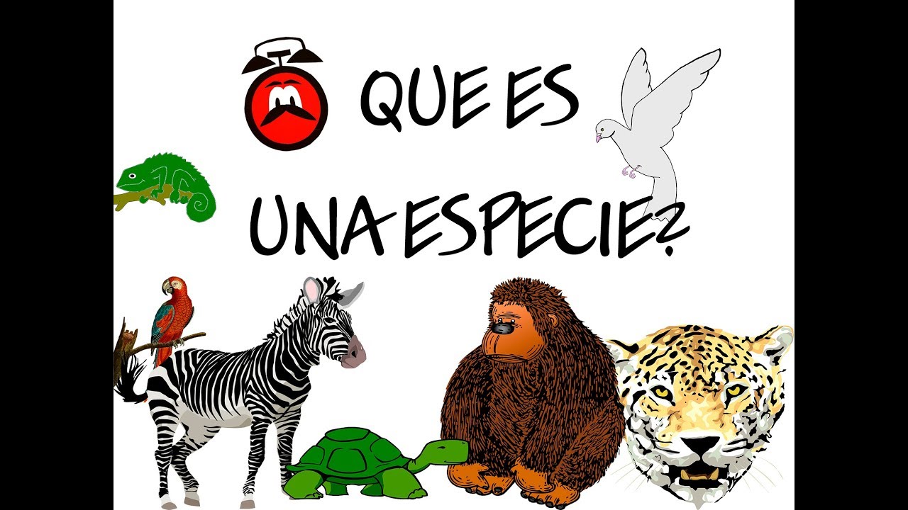Especie que nos une: ¿Cuál es?