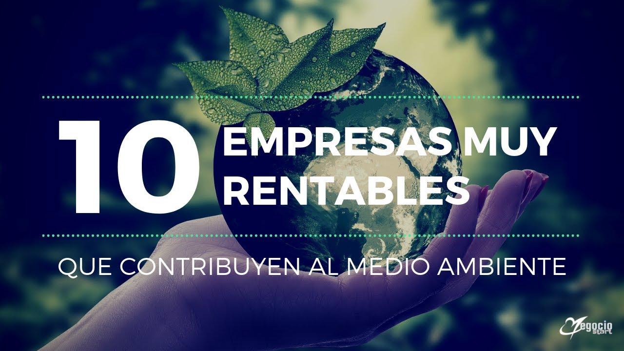 Estrategias ambientales en empresas