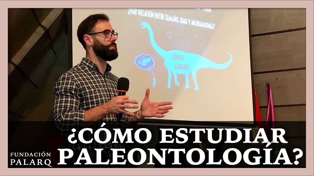 Estudiar paleontología en México: dónde hacerlo