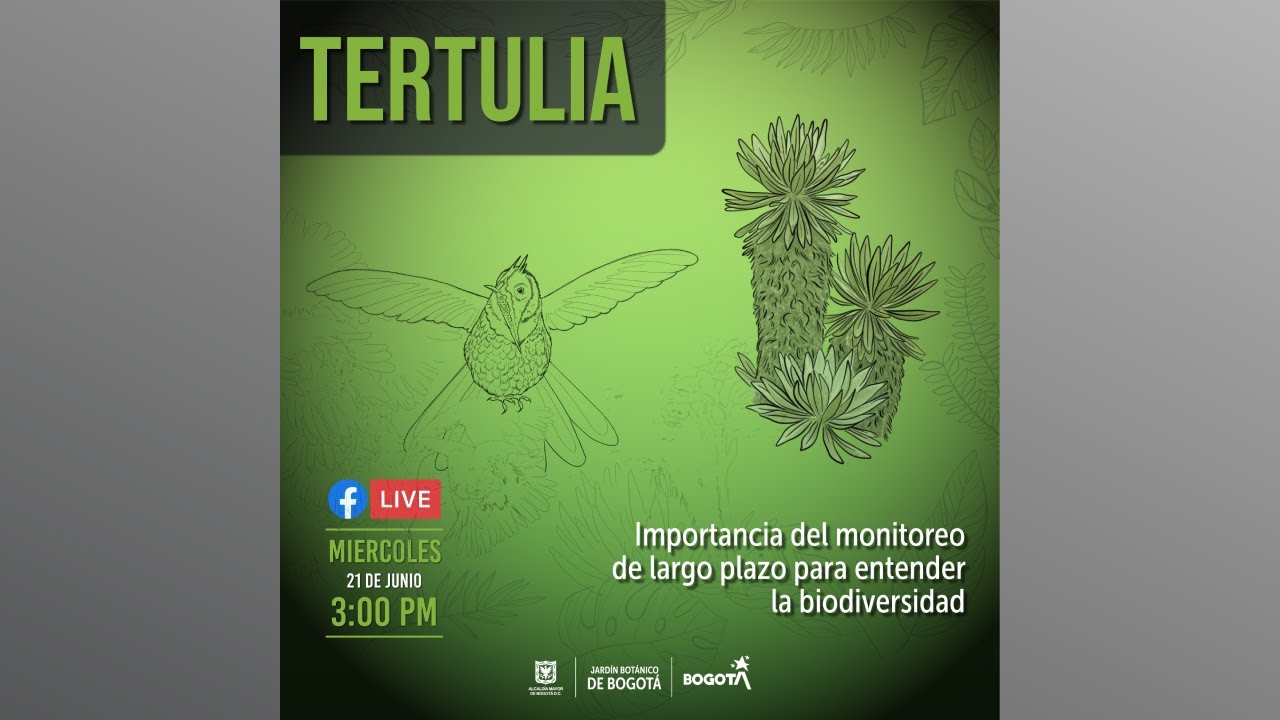 Explorando la biodiversidad en la alta montaña