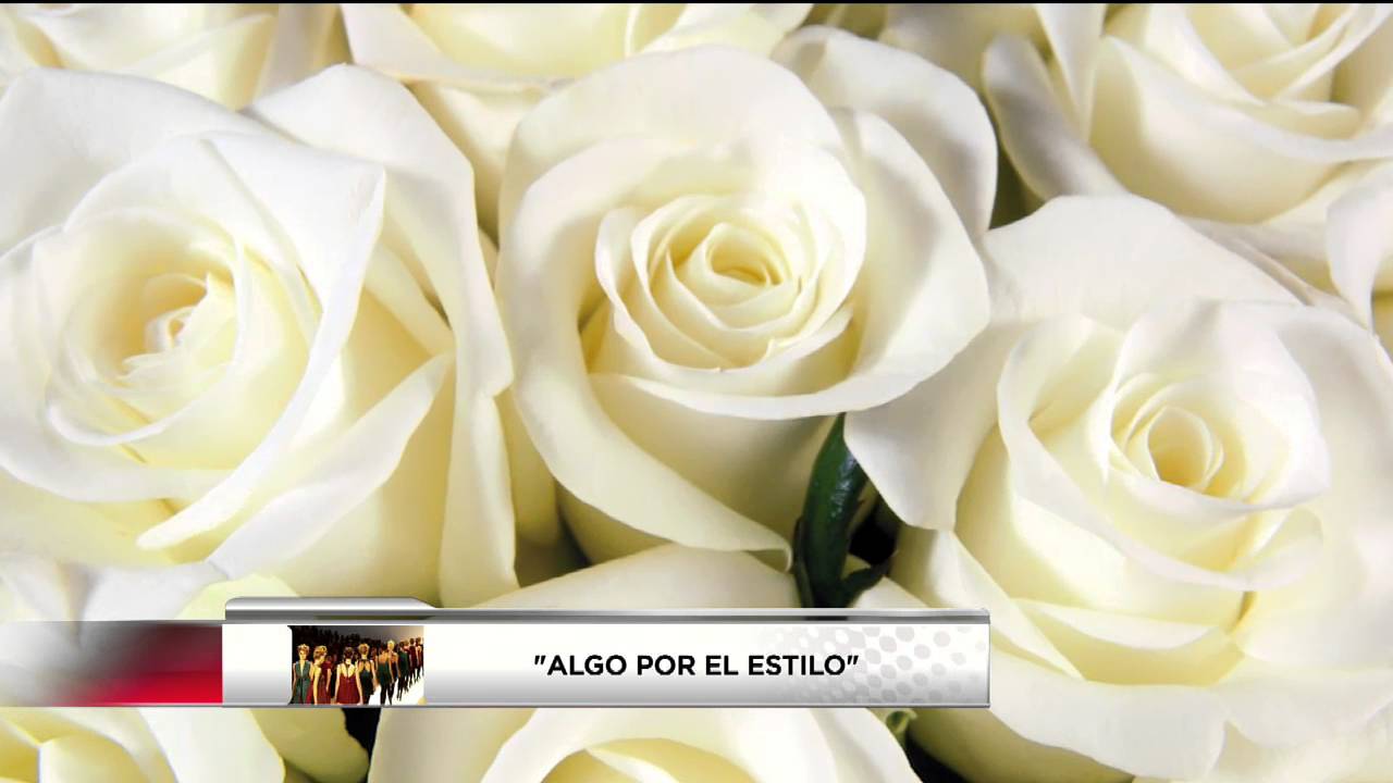 Flores preferidas por las mujeres: descúbrelas
