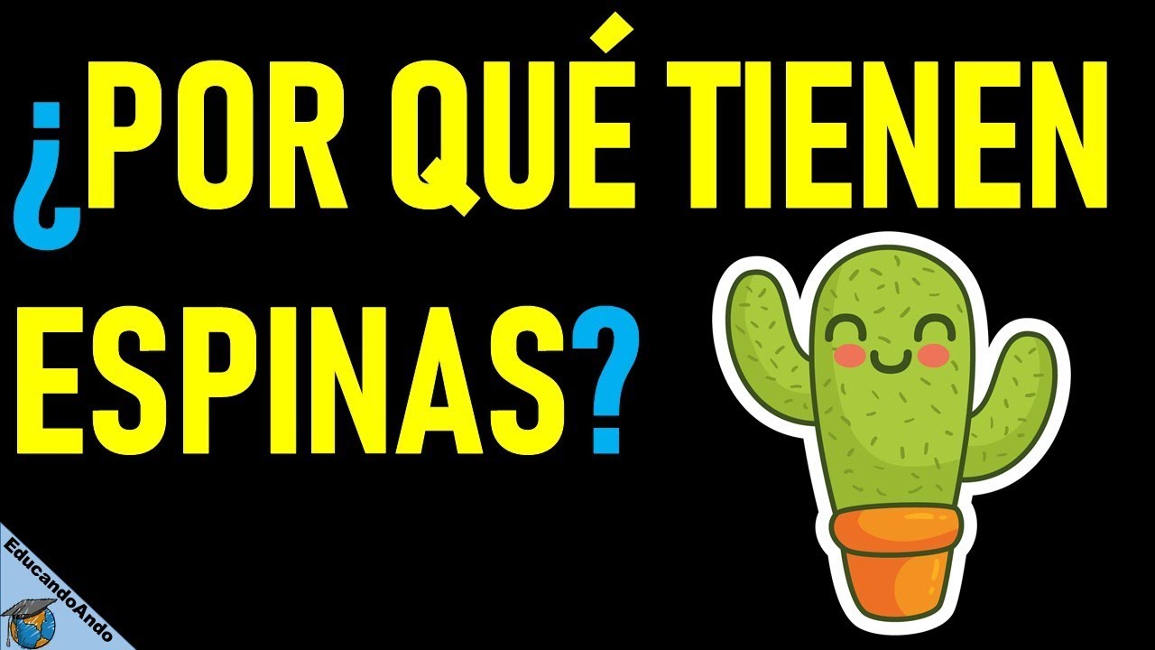 Función de las espinas en los cactus