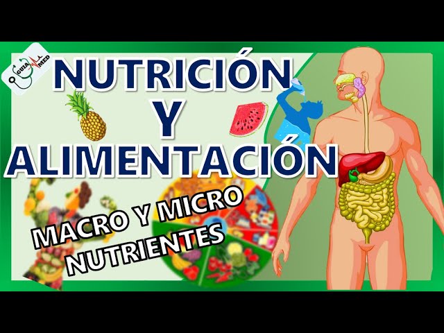 Función esencial de los alimentos