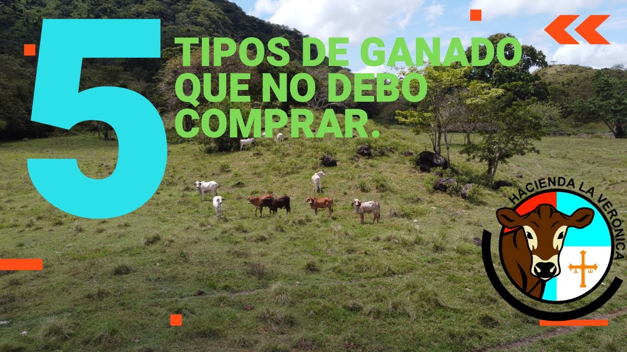 Ganado más común en México