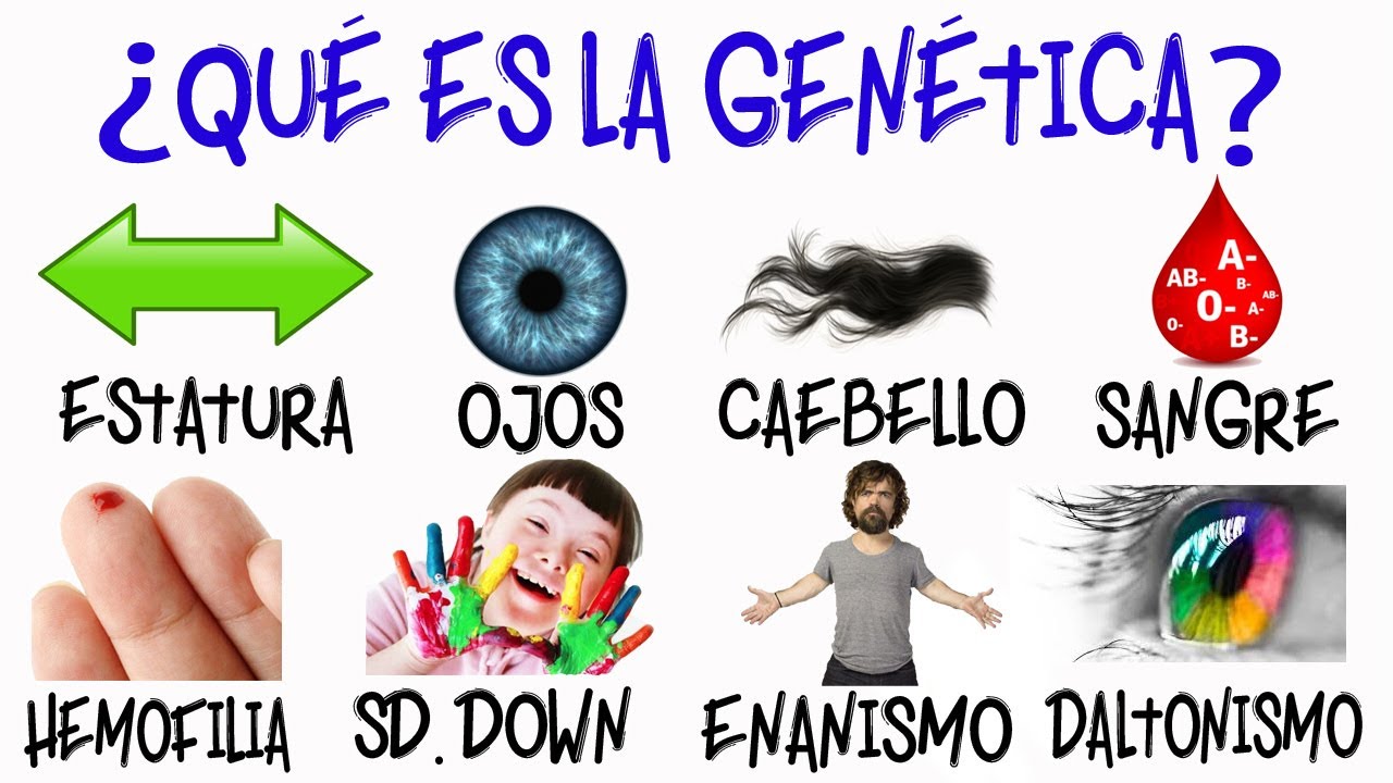 Genética aplicada en ecología