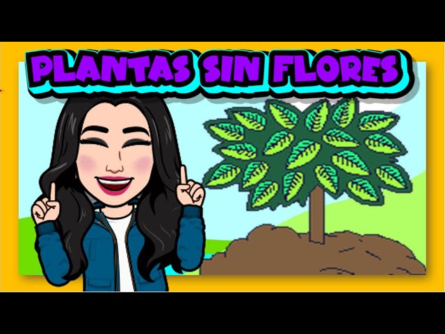 Guía de clasificación de plantas sin flores
