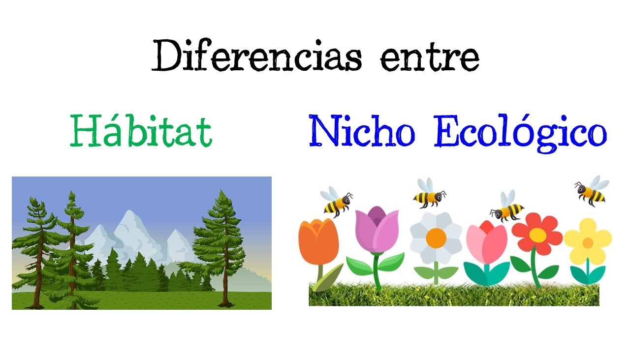 Hábitat y nicho ecológico del oso polar