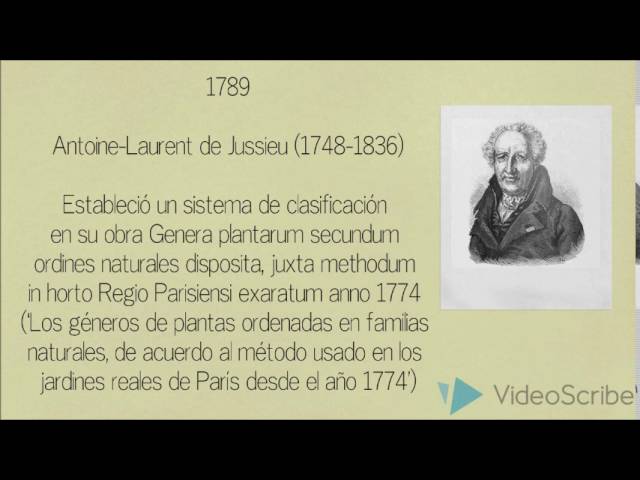Historia de la botánica en una línea del tiempo