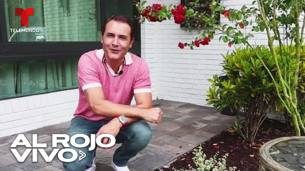 Ideas para embellecer el jardín de tu casa