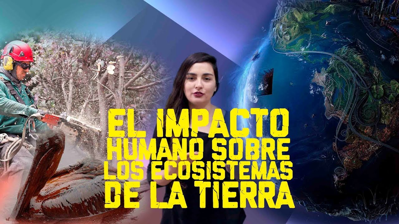 Impacto humano en los ecosistemas
