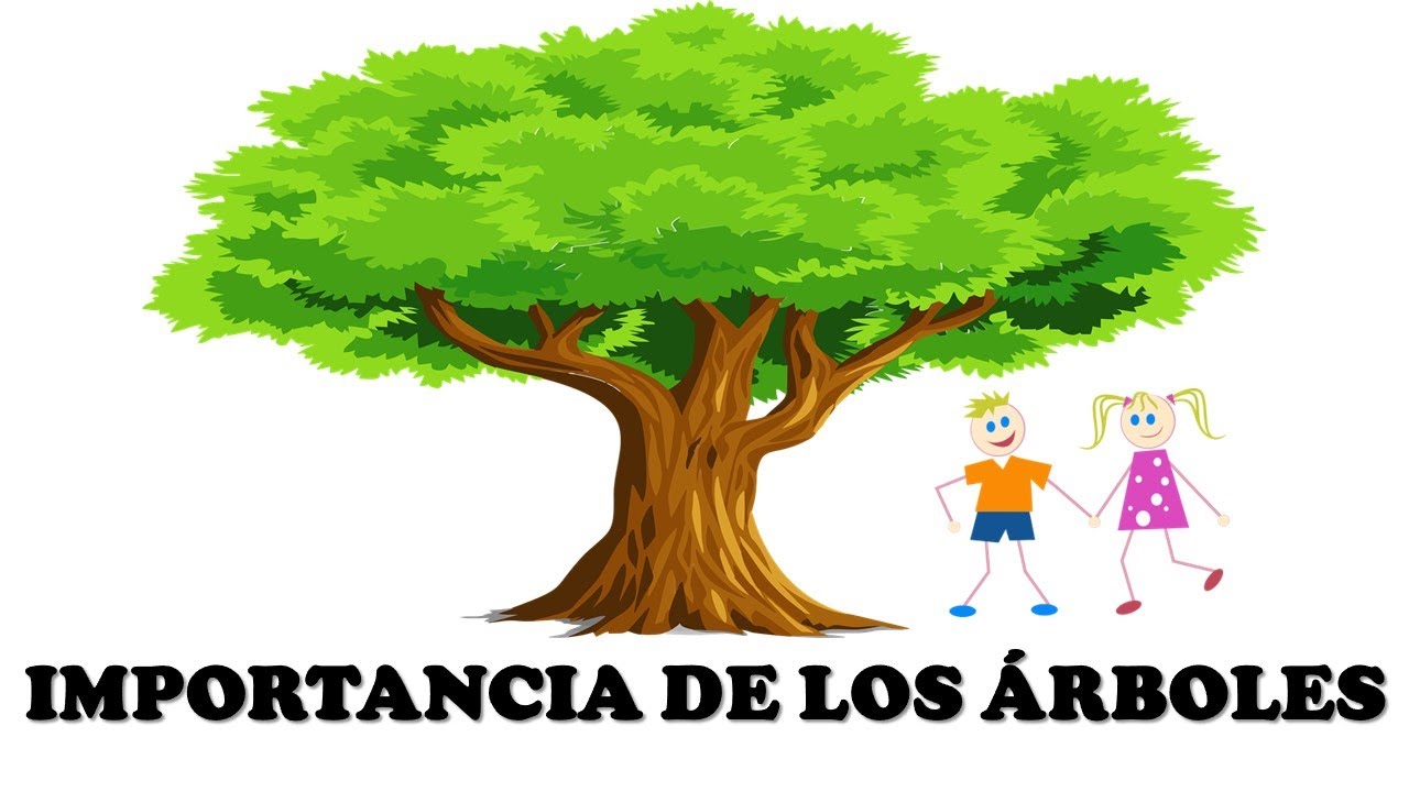 Importancia de la conservación de árboles