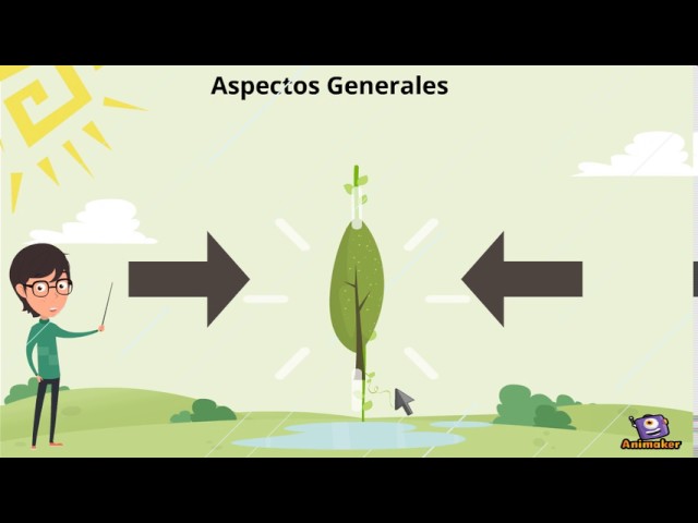 Importancia de la temperatura en las plantas