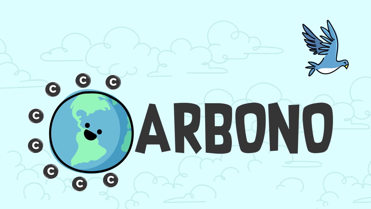 Importancia del carbono en la vida