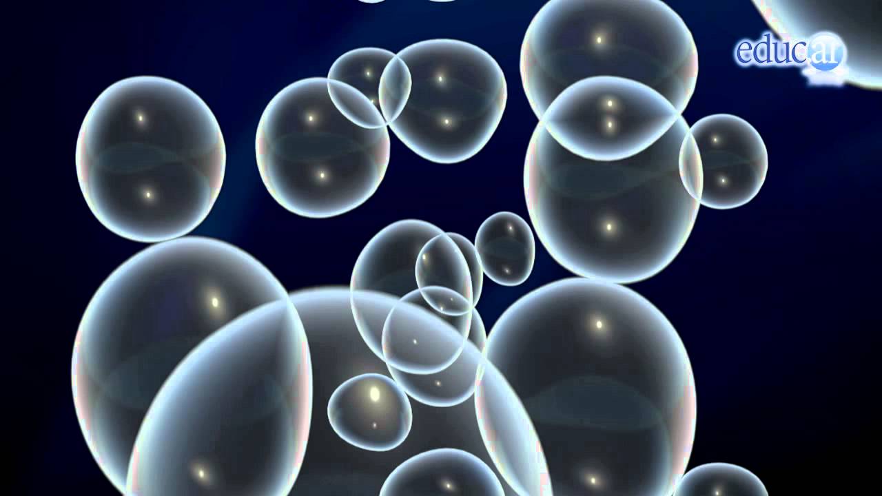 Información sobre Biología: La vida en la tierra 8