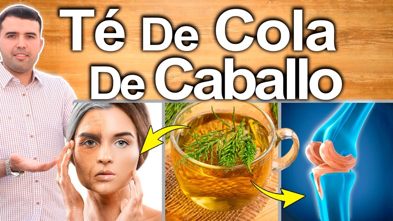 Infusión de cola de caballo y té verde
