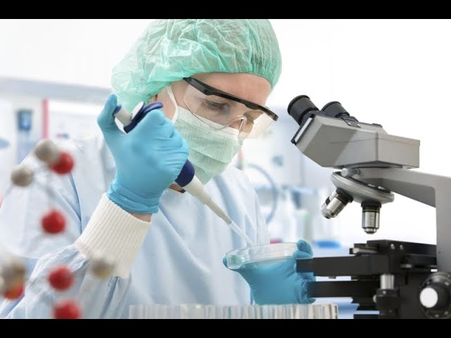 Ingeniería en sistemas biológicos: concepto y aplicaciones