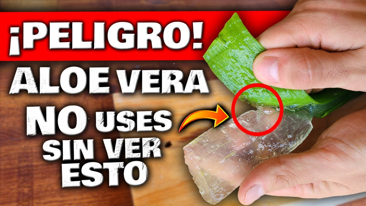 Jabón de glicerina con aloe vera: propiedades que debes conocer