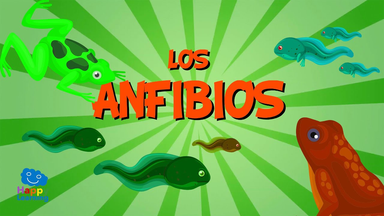 La fecundación en los anfibios: ¿cómo ocurre?