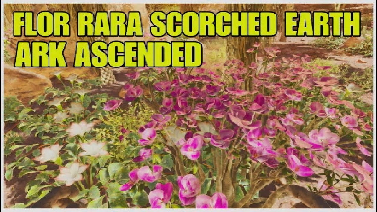 La flor rara que crece en el centro de otra