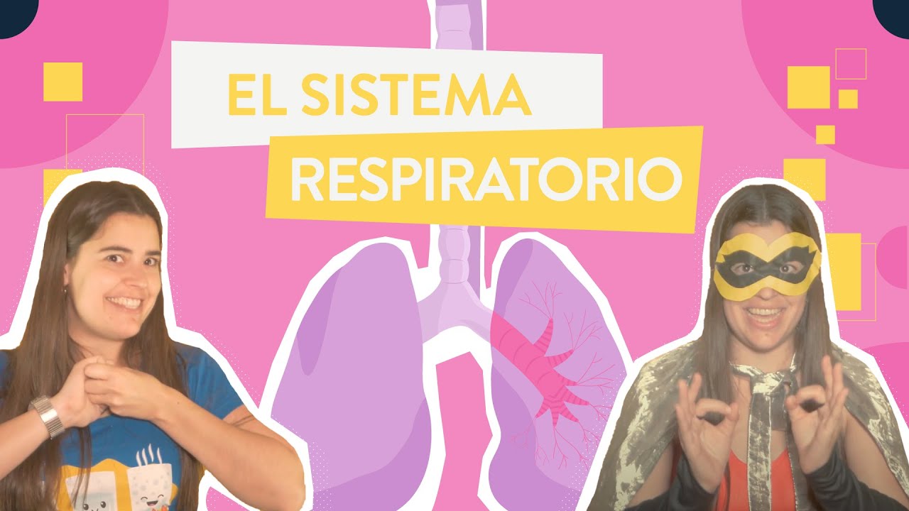 La importancia del sistema respiratorio en la nutrición