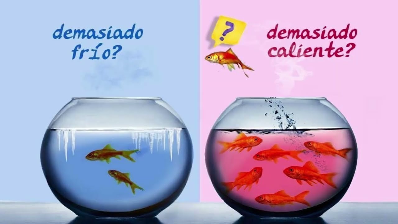 La regulación de temperatura en peces