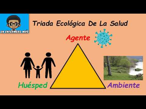 La triada ecológica: una explicación profunda