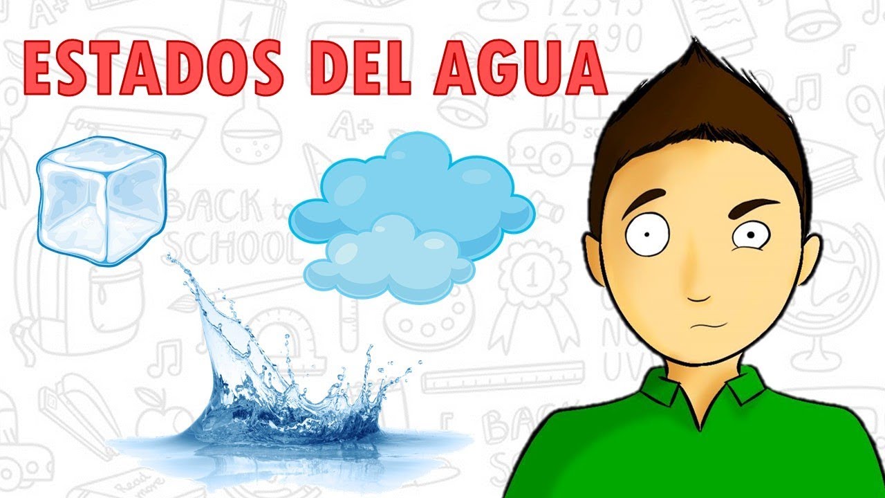 Lámina de los estados físicos del agua
