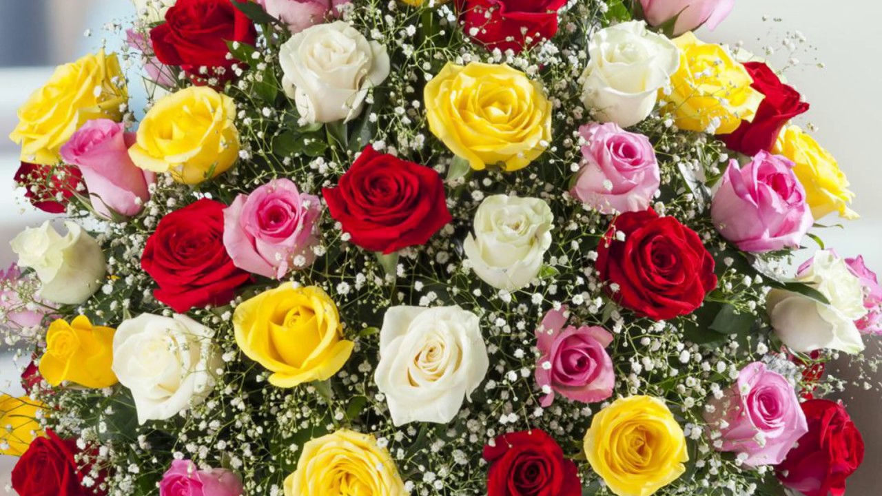 Los colores naturales de las rosas: ¡Conócelos!